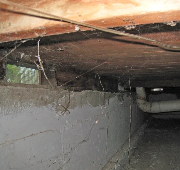 Crawl Space Water Extraction in Barnesville, GA