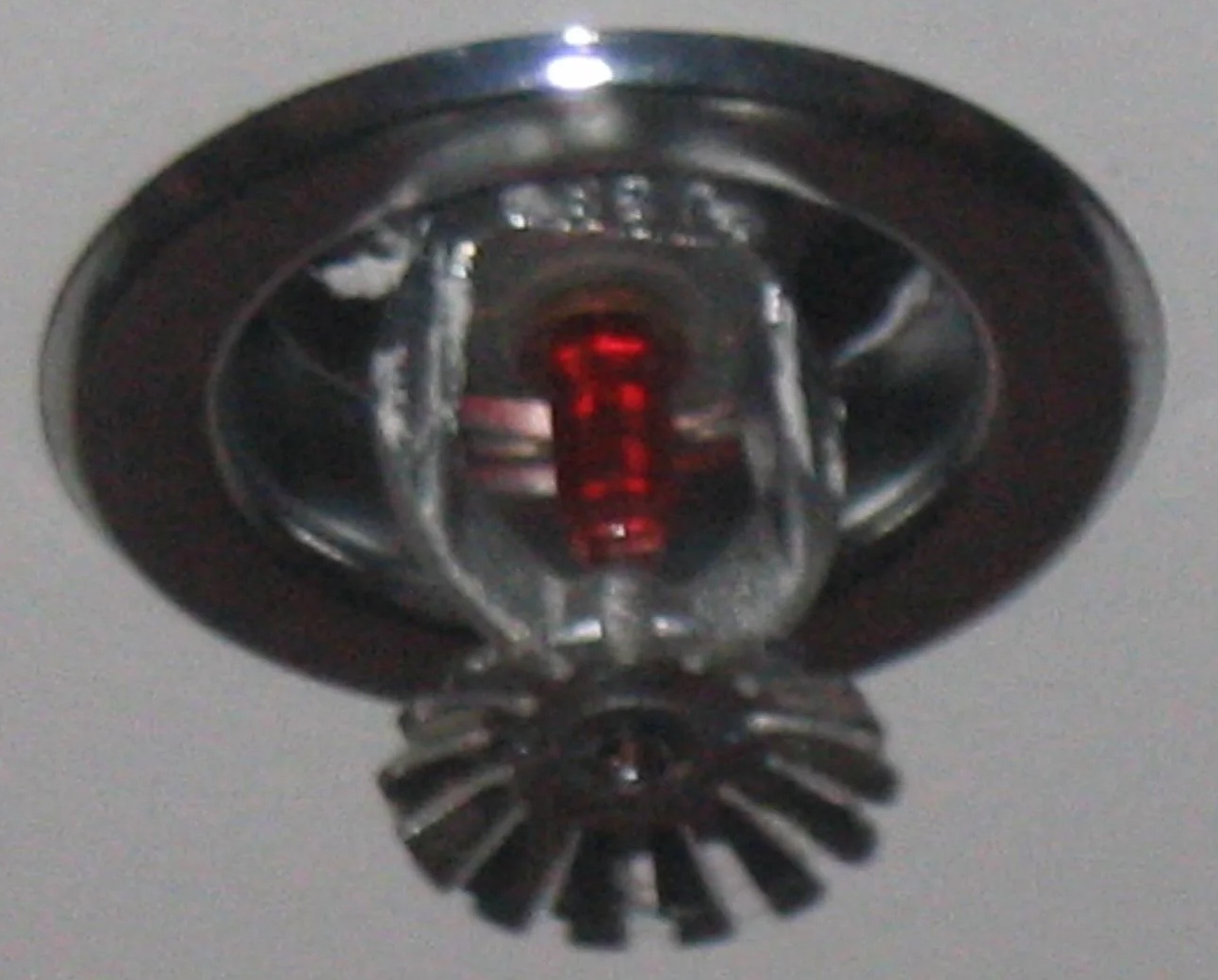Fire Sprinkler Discharge Water Removal in Senoia, GA