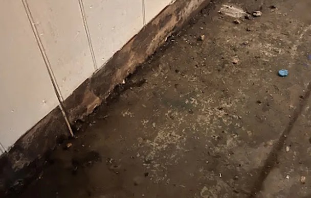 Biohazard and Trauma Cleanup in Roswell, GA