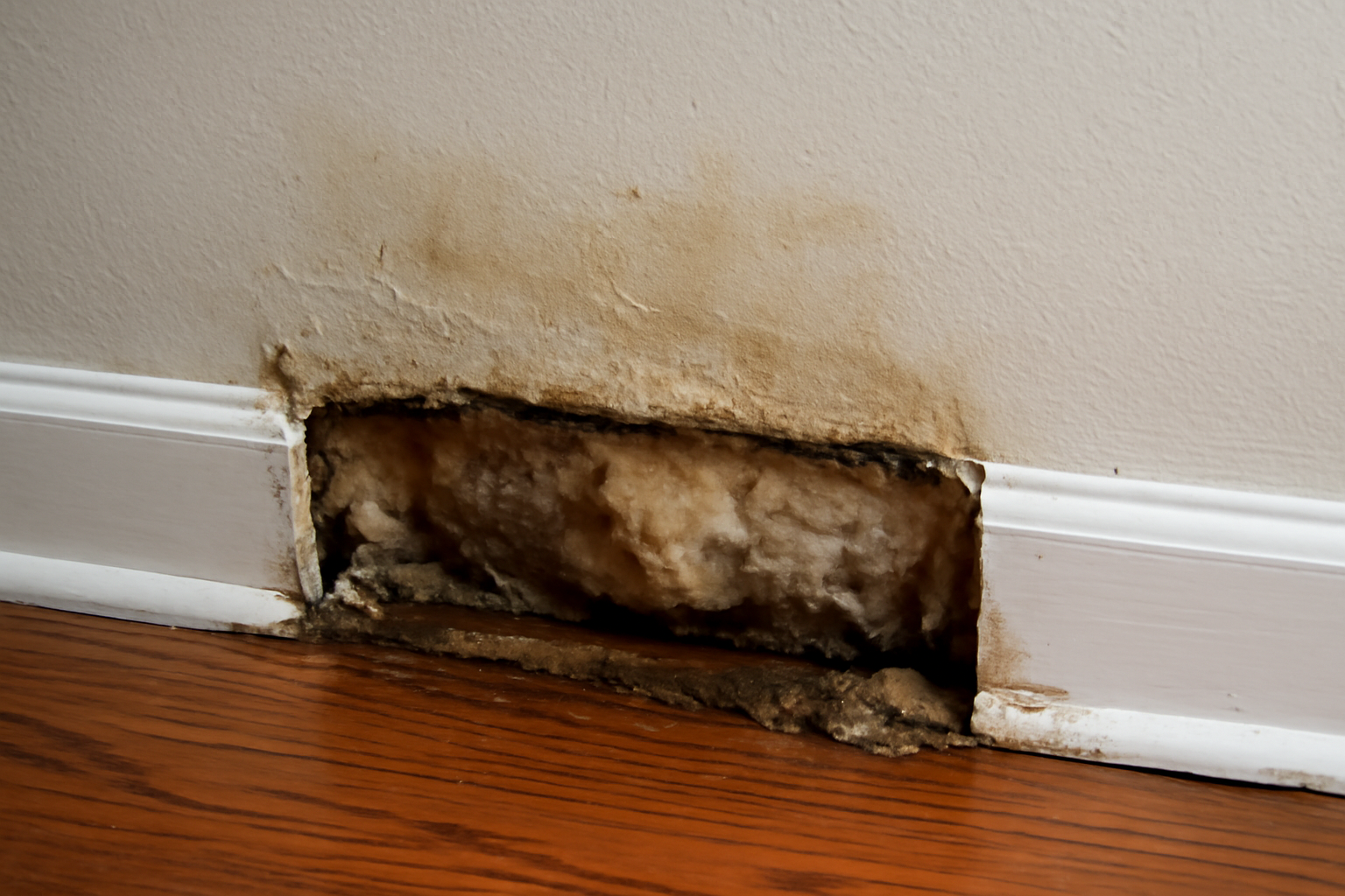 Wall Cavity Water Extraction in Acworth, GA